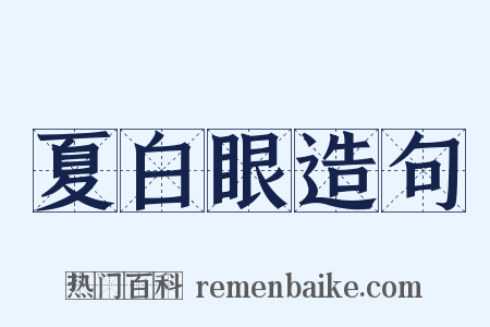 夏白眼造句是什么意思的图片